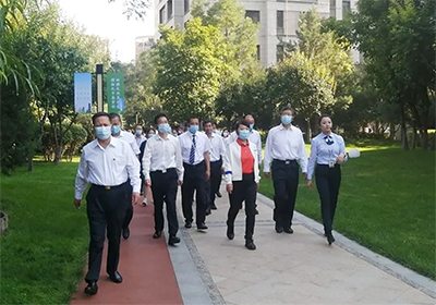 公司住宅類魯班獎工程獲內蒙古自治區黨委副書記、代主席王莉霞點贊