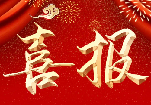 國家級！公司收獲兩項“中國電力優(yōu)質工程”獎